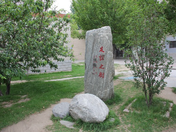 友谊之树