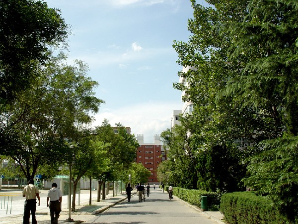 校内道路